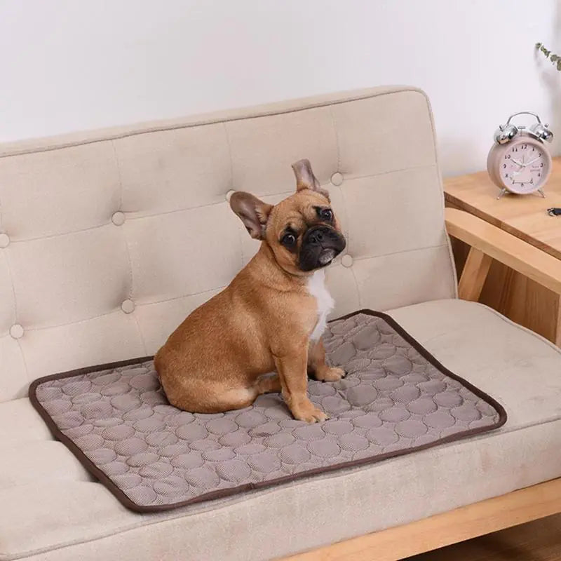 COOLING MAT FOR PETS