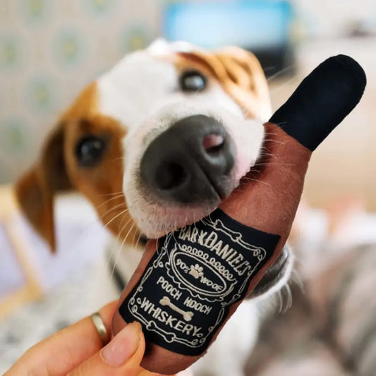 WISKEY BEER DOG TOY