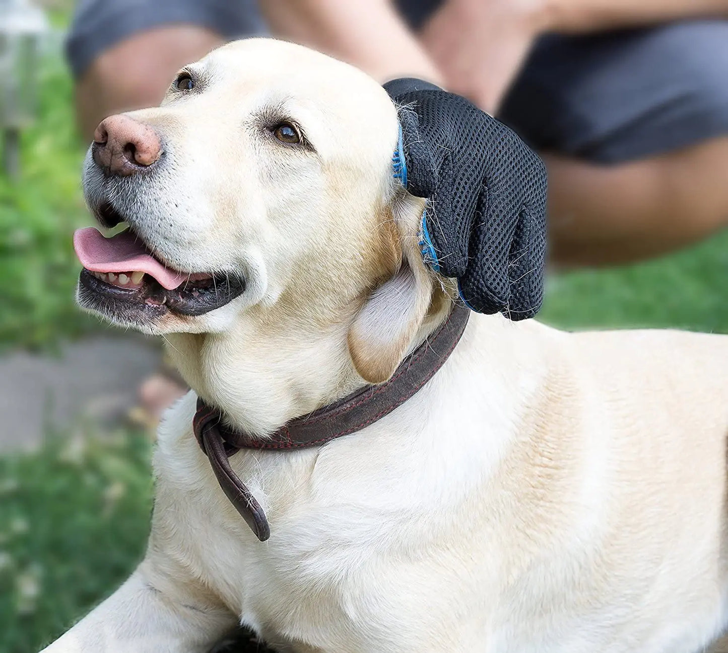 ANTI-HAIR GROOMING GLOVE FOR PETS