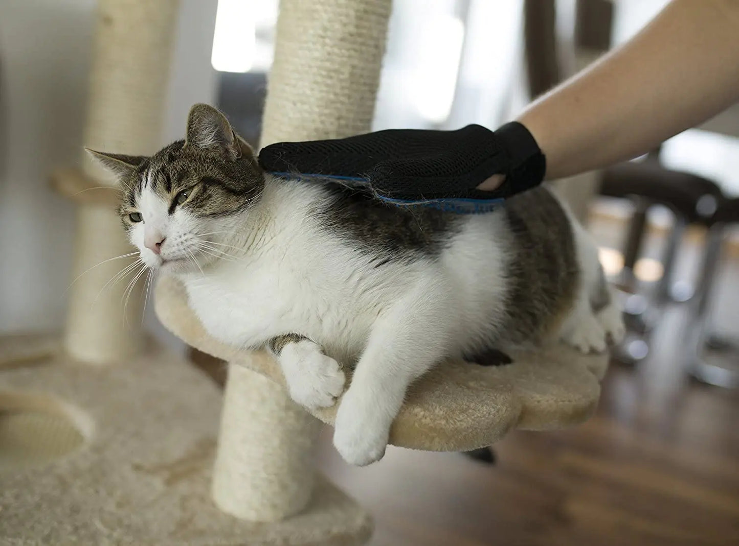 ANTI-HAIR GROOMING GLOVE FOR PETS