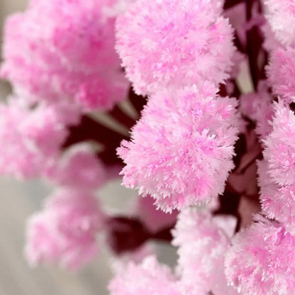 DIY PAPER SAKURA GROWING TREE