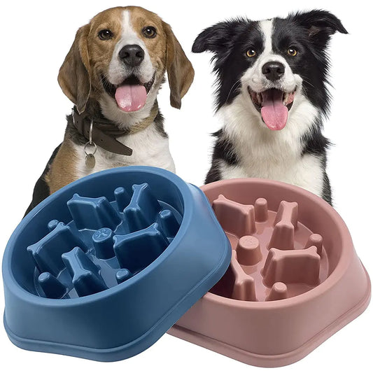 PET SLOW FEEDER BONE DESIGN BOWL